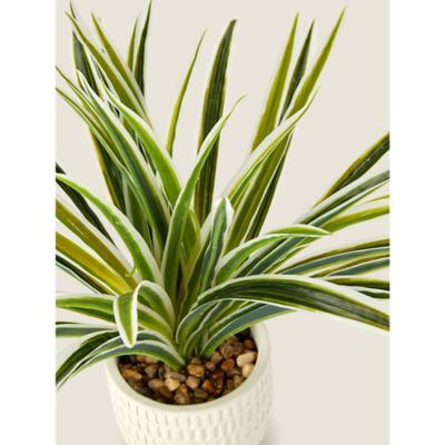ASDA George Home Pot d'herbe artificielle rayé sauge décoratif 30x30x28 cm- Acheter en ligne sur McGrocer