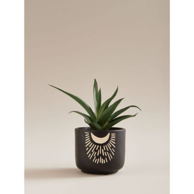 George Home artificial aloe plant in cement pot, grey, 16cm - British product