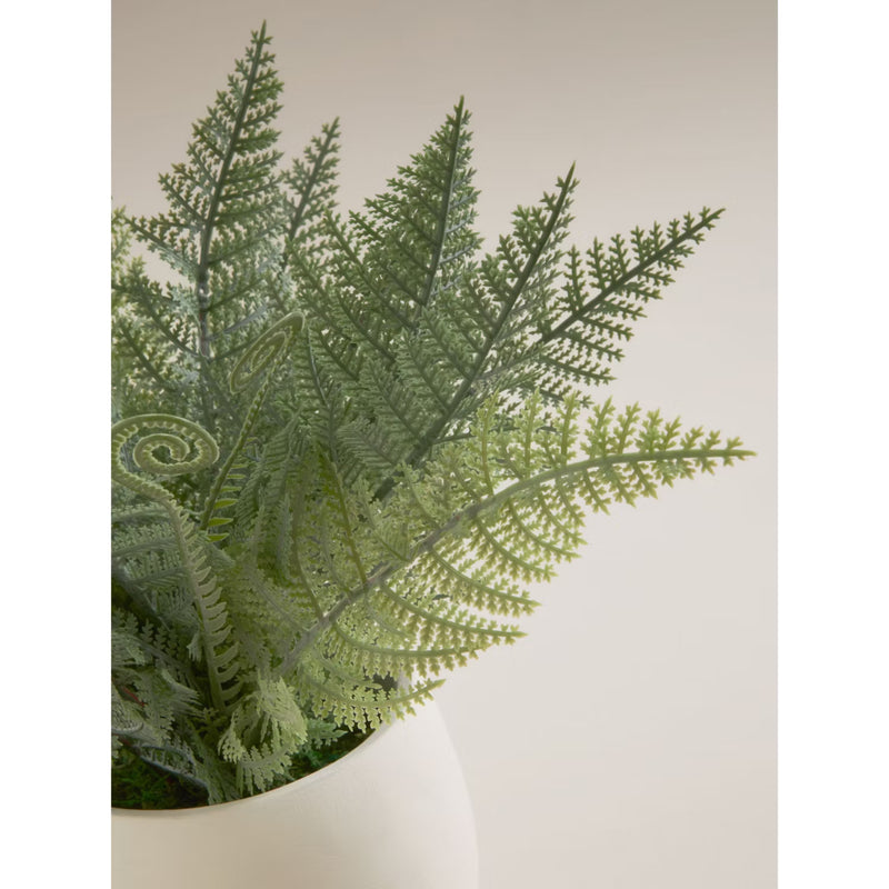 George Home artificial fern cream footed pot 28cm, imported from the UK