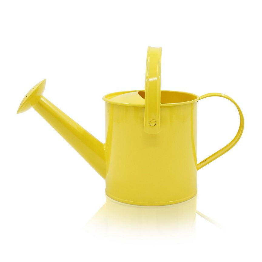 Hapello Metal Watering Can (Styles May Vary) GOODS ASDA   