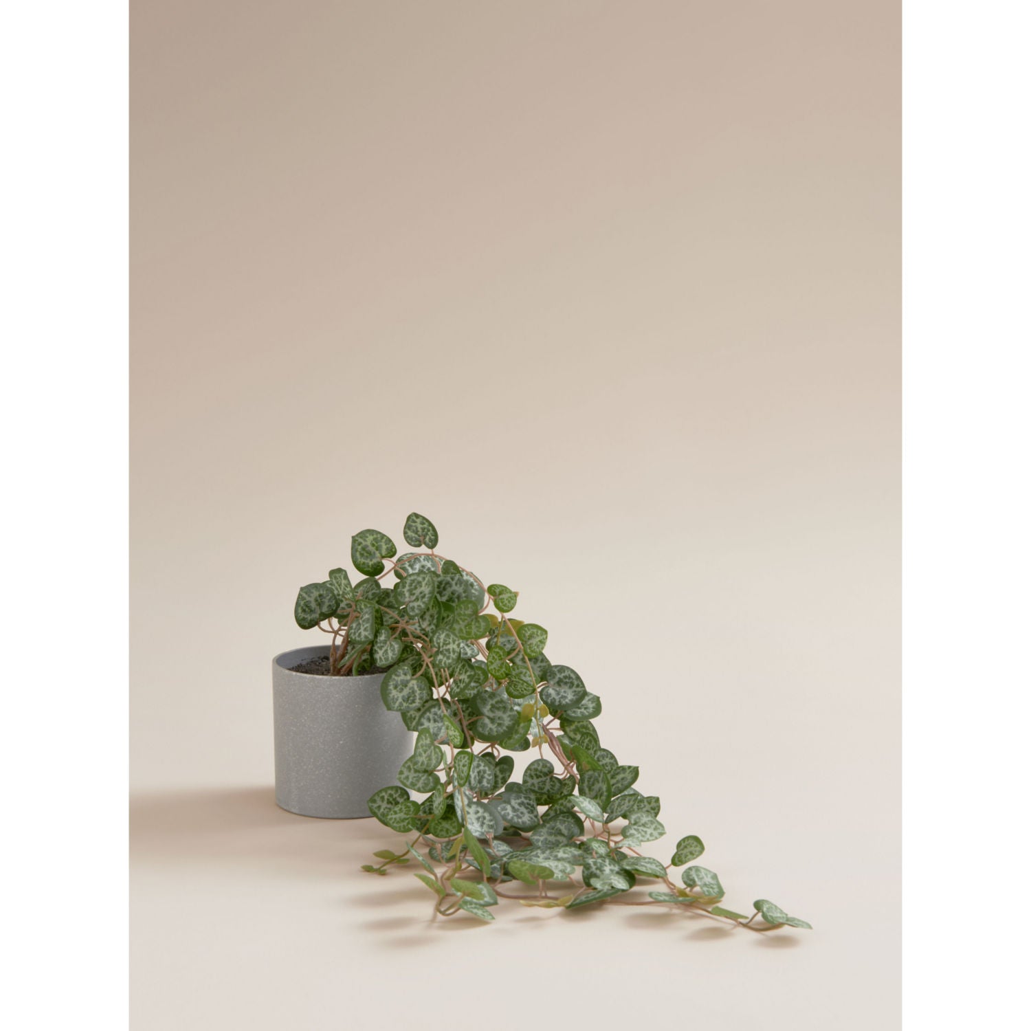 George Home artificial hanging ceropegia 50cm grey pot, imported from the UK