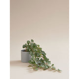George Home artificial hanging ceropegia 50cm grey pot, imported from the UK