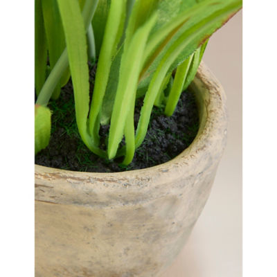 George Home grey artificial daffodils in cement trough, imported from the UK