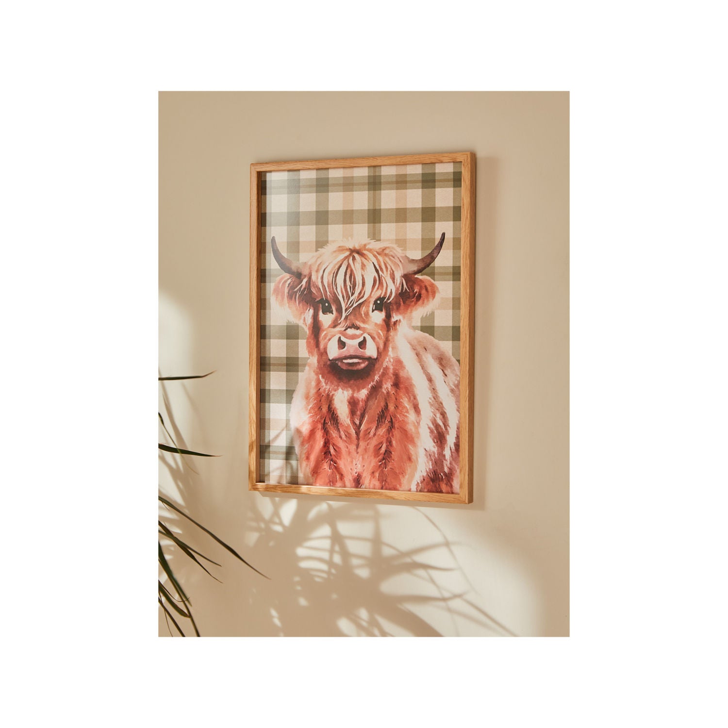 Brown highland cow framed print A3, UK version