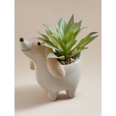 George Home cream dog succulent plant - British product
