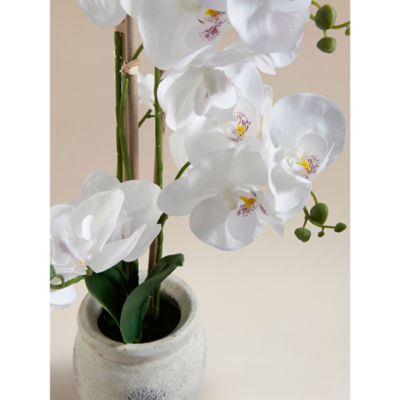 George Home large white orchid 57cm, UK version