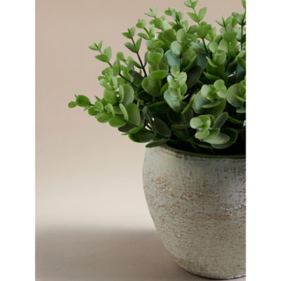 Green artificial eucalyptus plant in cement pot, UK version