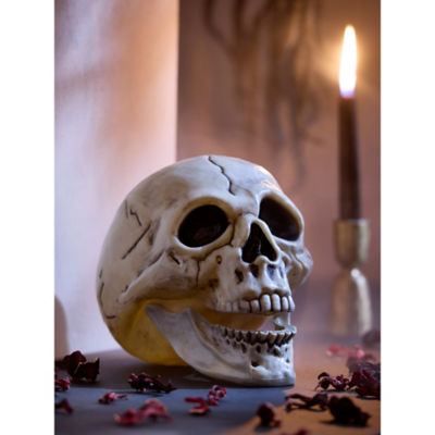 Halloween skull head decoration plastic multi-coloured 20x15x15.5cm, imported from the UK
