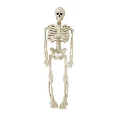 Halloween mini skeleton decoration 5x2x15cm, imported from the UK