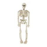 Halloween mini skeleton decoration 5x2x15cm, imported from the UK