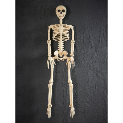 Halloween 3ft skeleton decoration multi-coloured polypropylene, UK version