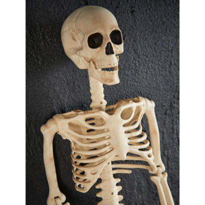 Halloween 3ft skeleton decoration multi-coloured polypropylene, UK version