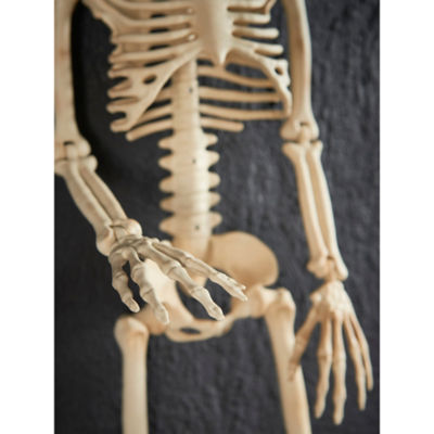 Halloween 3ft skeleton decoration multi-coloured polypropylene, UK version