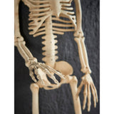 Halloween 3ft skeleton decoration multi-coloured polypropylene, UK version