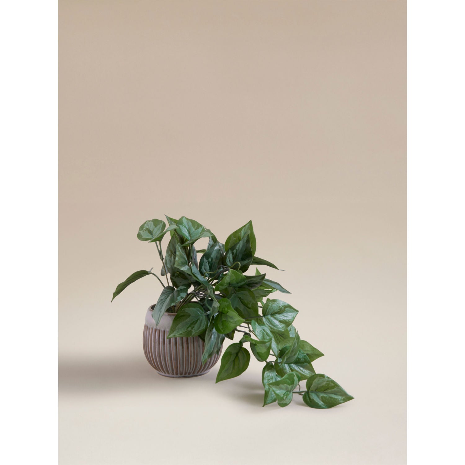 Artificial trailing leaf plant in ceramic pot 8x8x26cm, UK version