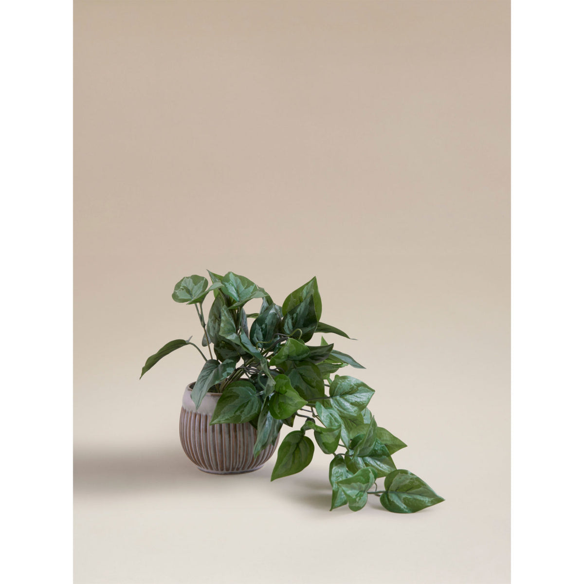 Artificial trailing leaf plant in ceramic pot 8x8x26cm, UK version