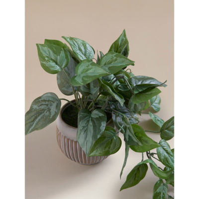 Artificial trailing leaf plant in ceramic pot 8x8x26cm, UK version