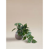Artificial trailing leaf plant in ceramic pot 8x8x26cm, UK version