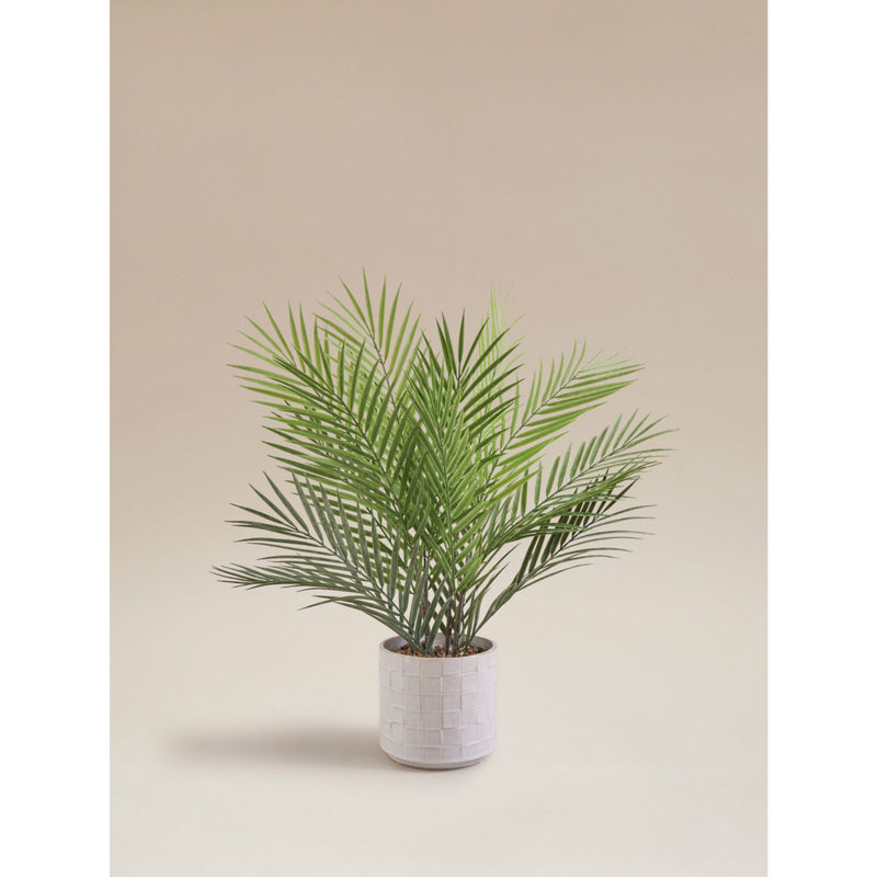 Artificial areca palm in reactive glaze ceramic pot 60x60x55cm - British product