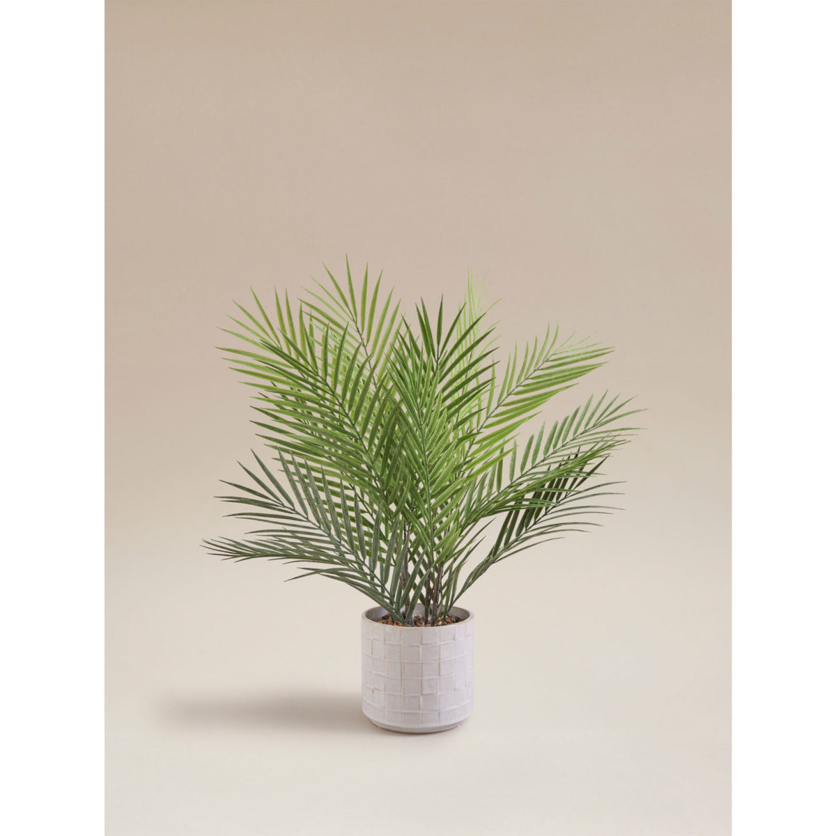 Artificial areca palm in reactive glaze ceramic pot 60x60x55cm - British product
