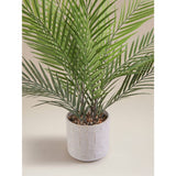 Artificial areca palm in reactive glaze ceramic pot 60x60x55cm - British product