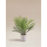 Artificial areca palm in reactive glaze ceramic pot 60x60x55cm - British product
