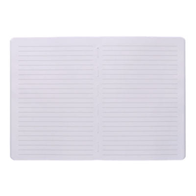 Asda capybara notebook A5, UK version