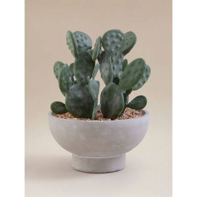 Artificial cactus in grey cement bowl 17x17x23cm imported from the UK