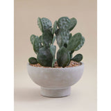 Artificial cactus in grey cement bowl 17x17x23cm imported from the UK