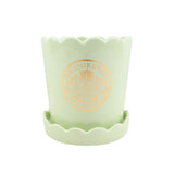 Bridgerton Bloom ceramic plantpot 13.8cm - British product