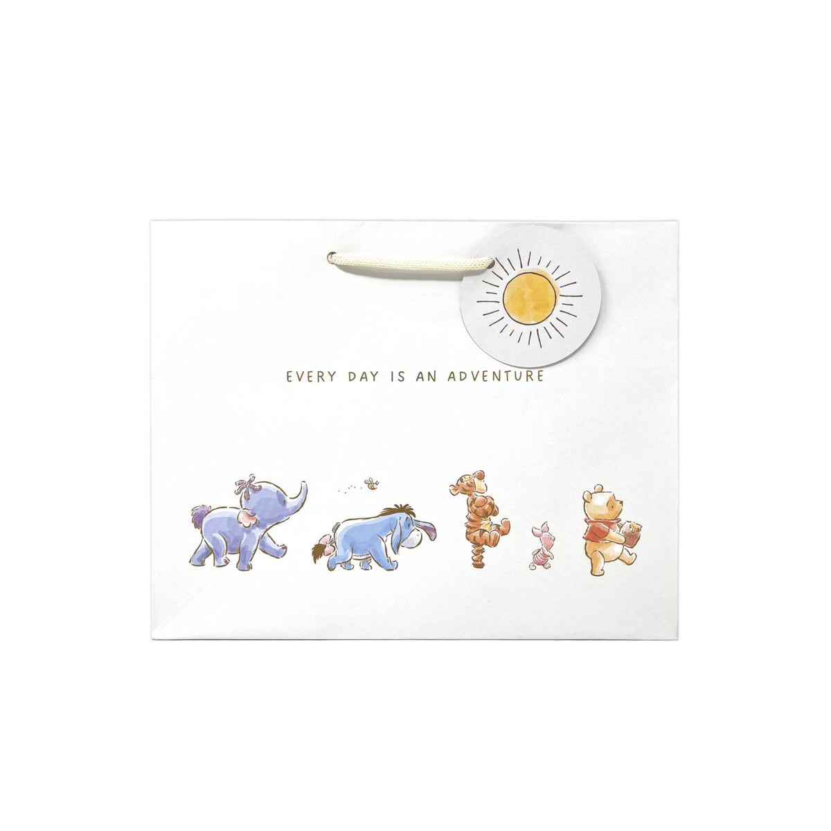 Disney Winnie the Pooh medium gift bag, imported from the UK