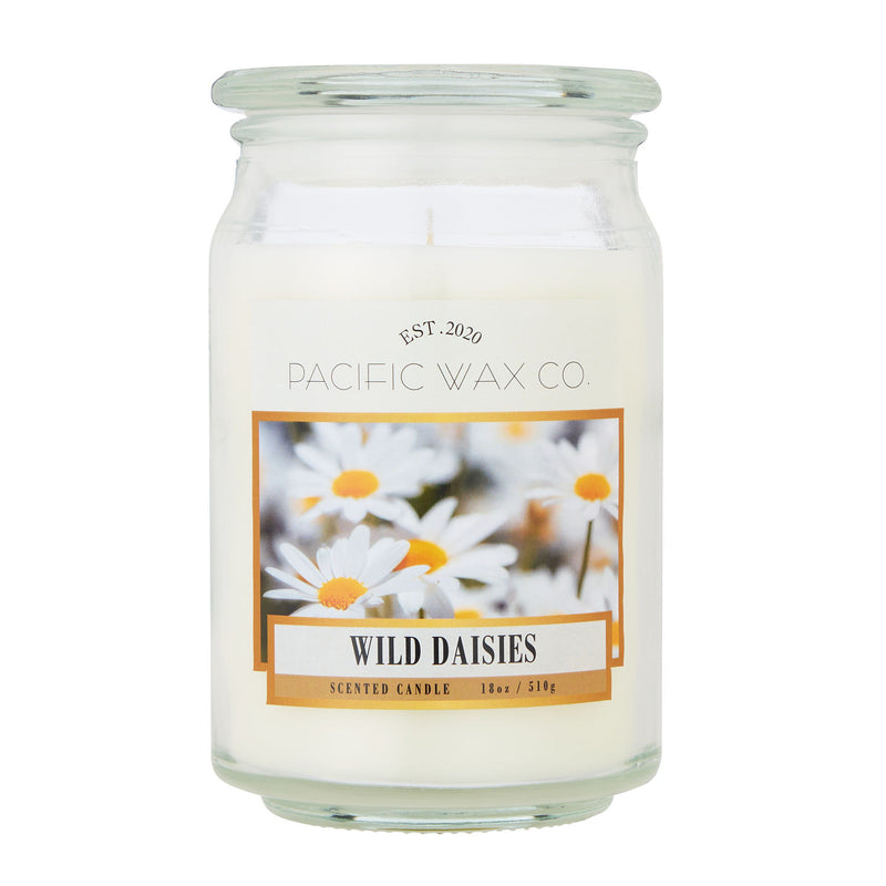 Pacific Wax Co Wild Daisy candle 510g, UK version