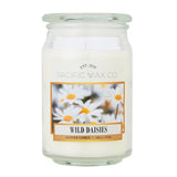 Pacific Wax Co Wild Daisy candle 510g, UK version