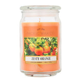 Pacific Wax Co large jar candle zesty orange 510g, imported from the UK