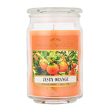 Pacific Wax Co large jar candle zesty orange 510g, imported from the UK