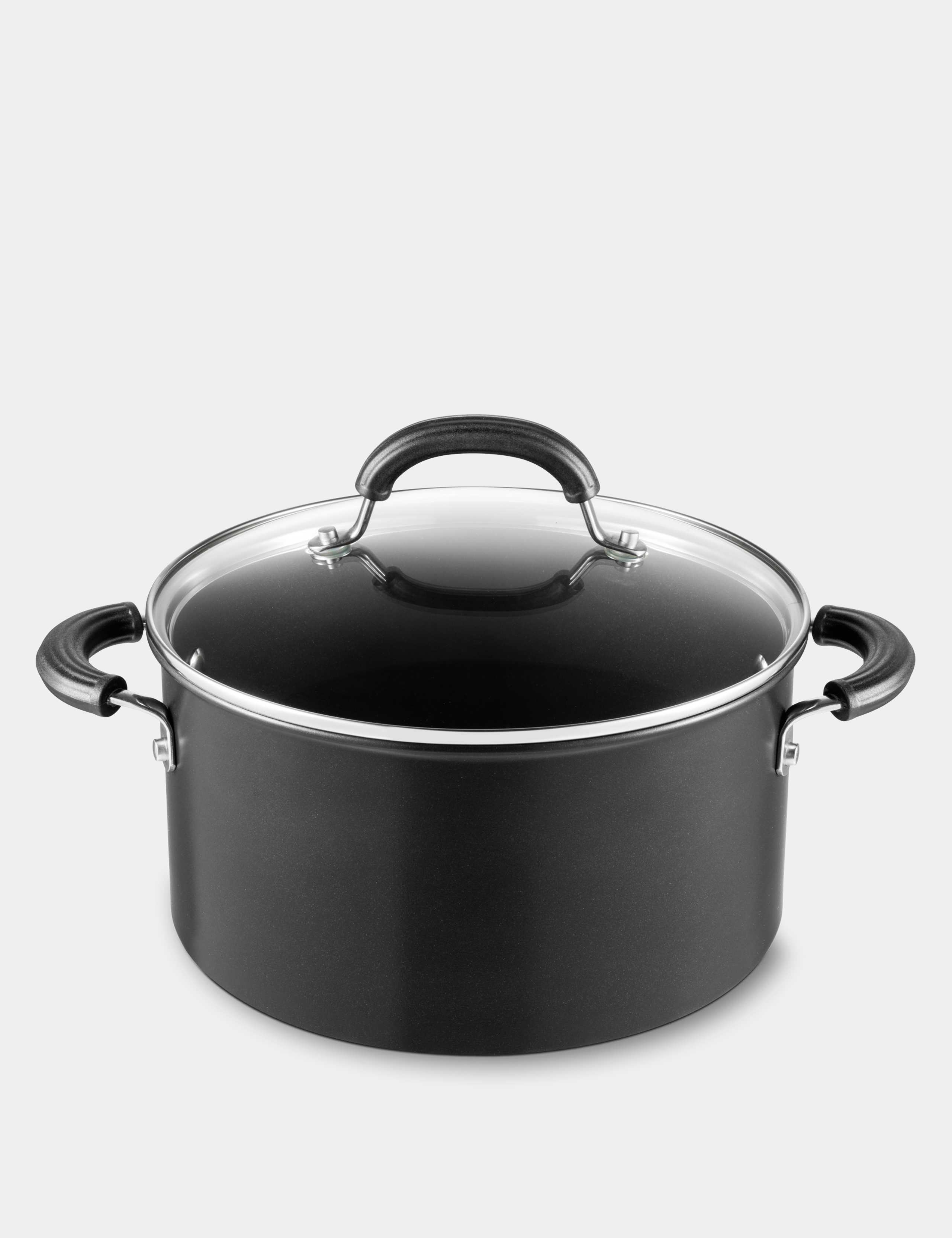 Total induction stockpot with lid 24cm 5.7L (British brand)