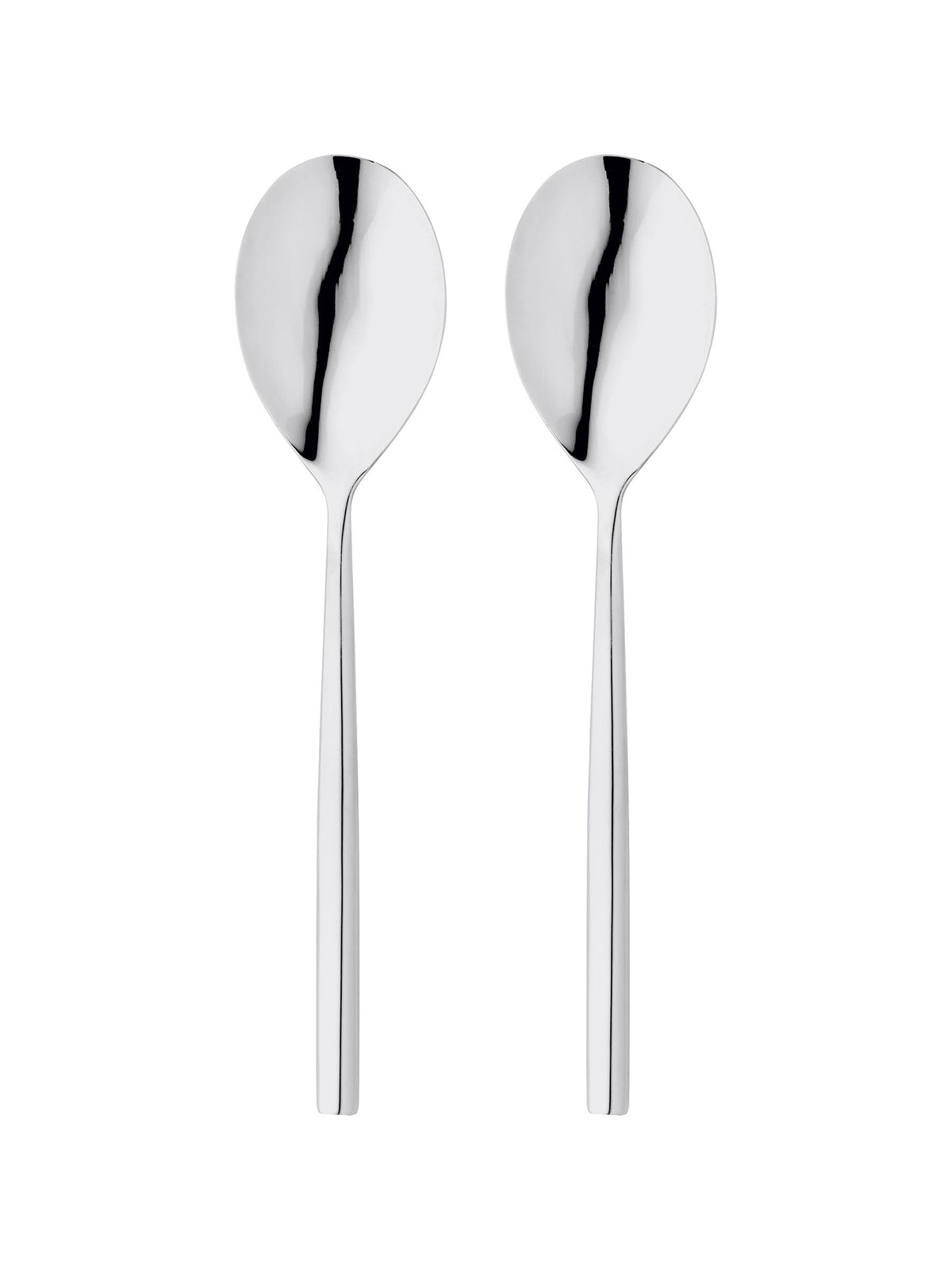 Stellar Silver 2 Piece Serving Spoon Set