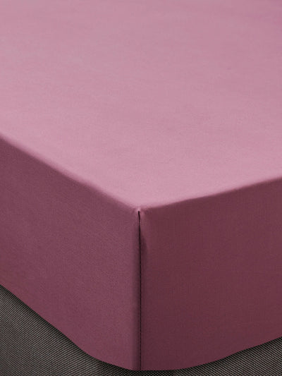 Drap-housse de lit extensible 400 fils en coton Red Mulberry Laura Ashley Next - Achetez en ligne sur McGrocer