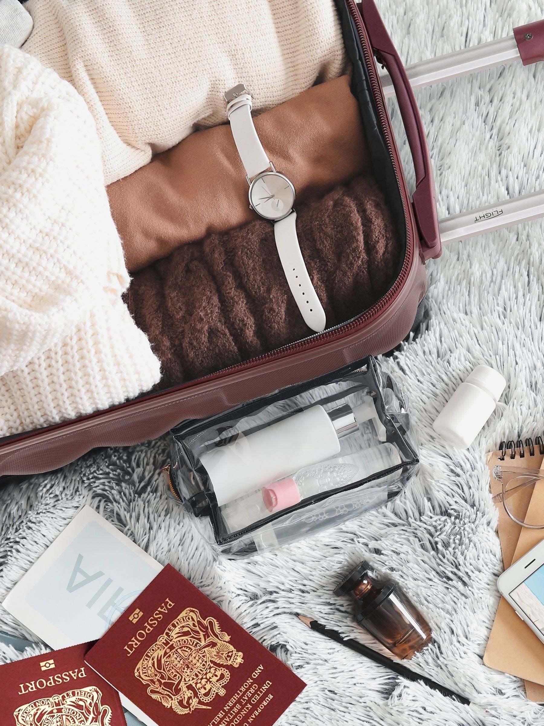 Flight Knight Burgundy Large Large Hardcase Printed Lightweight Check-In Suitcase with 4 Wheels