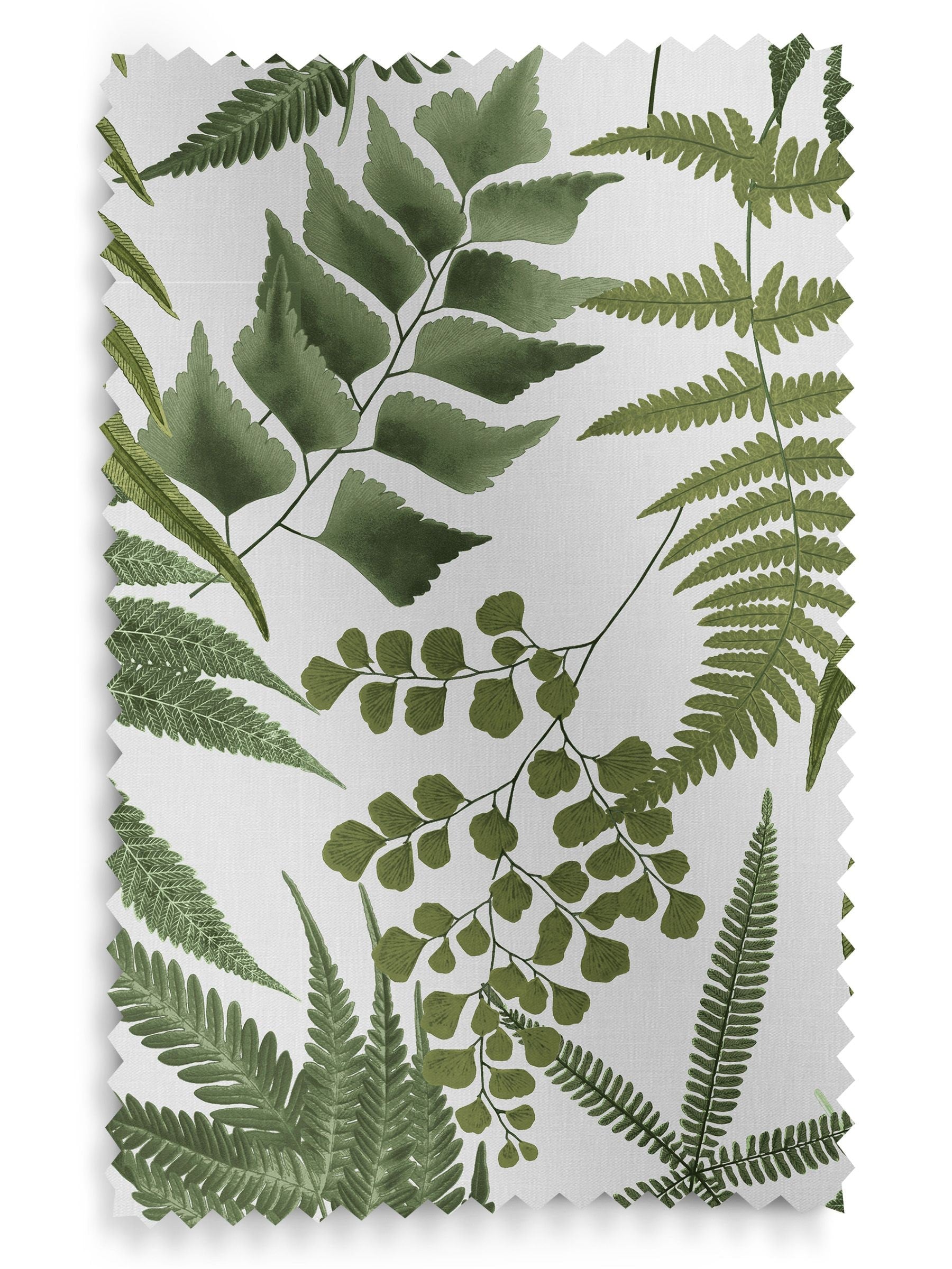 Graham & Brown Midsummer Fern cotton roman blind, imported from the UK