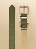 Joules khaki green dog collar - British product