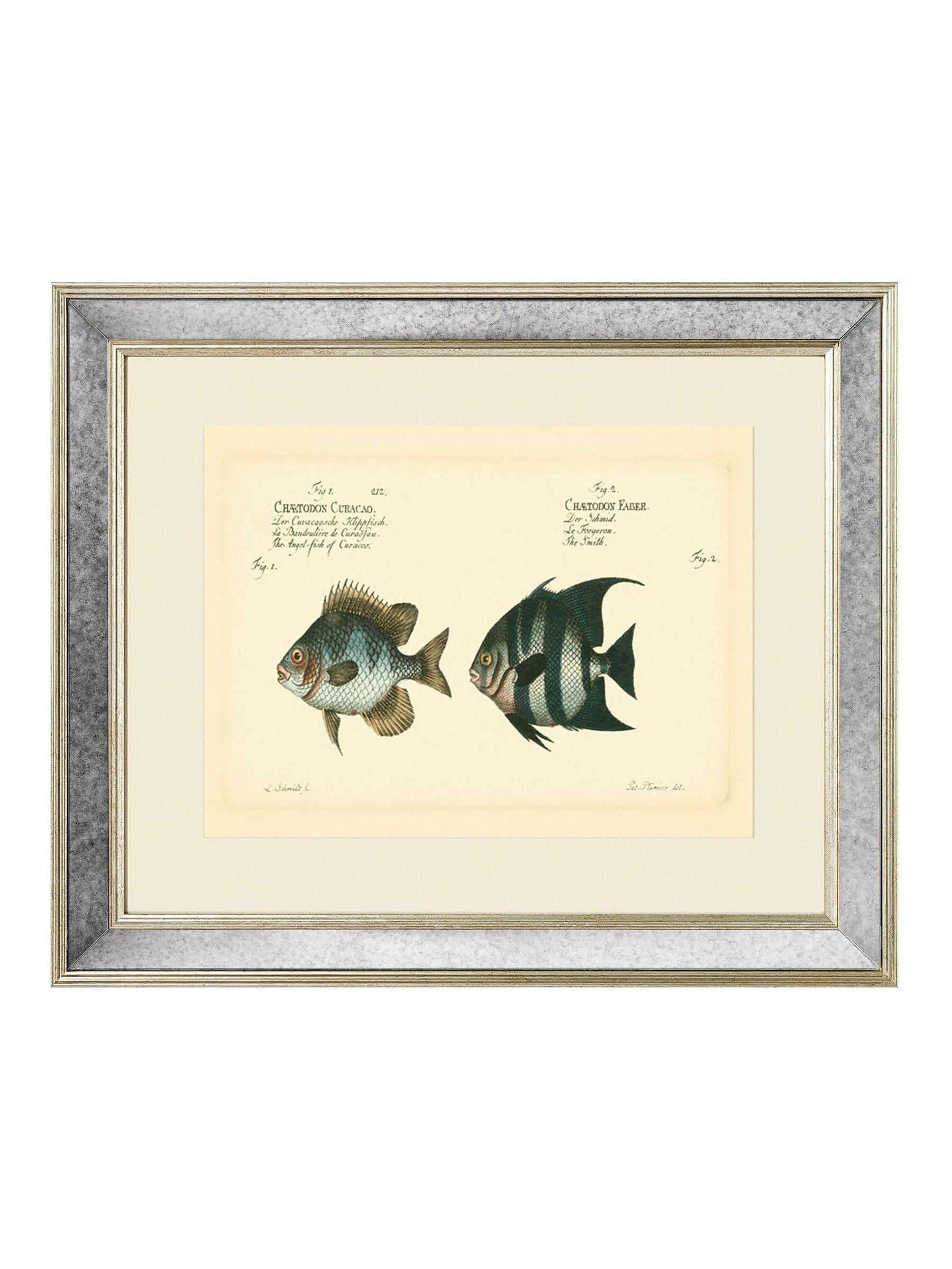 Brookpace Lascelles antique fish mirror 40x50cm, UK version