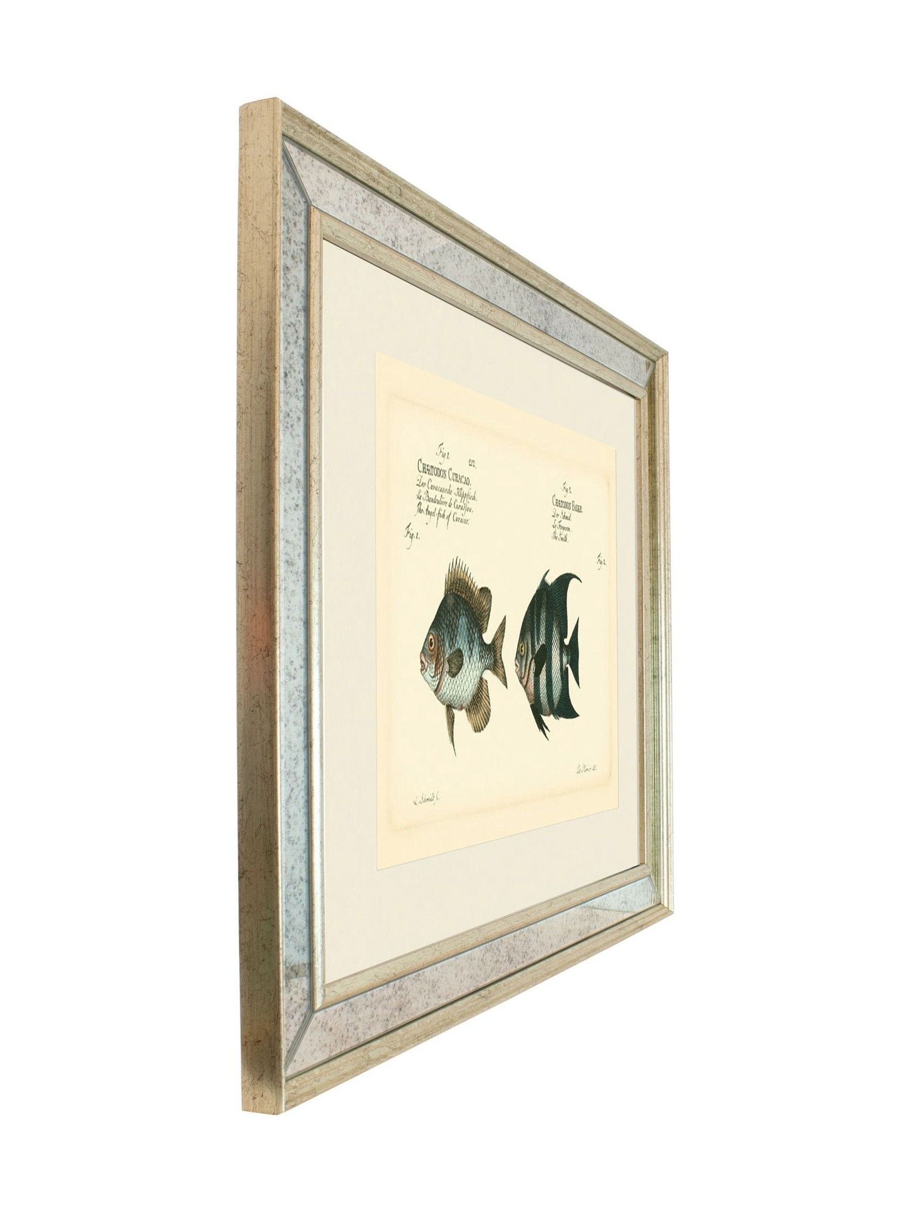 Brookpace Lascelles antique fish mirror 40x50cm, UK version