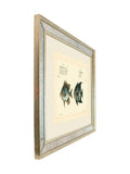 Brookpace Lascelles antique fish mirror 40x50cm, UK version
