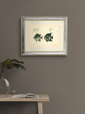 Brookpace Lascelles antique fish mirror 40x50cm, UK version