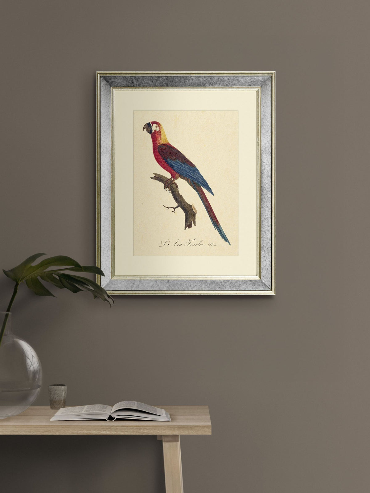 Brookpace Lascelles Tropical Bird II wall art 40x50cm (British brand)