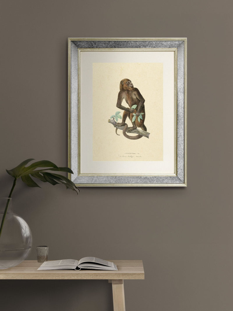 Brookpace Lascelles Primate I wall art 40x50cm antique gold frame, UK version