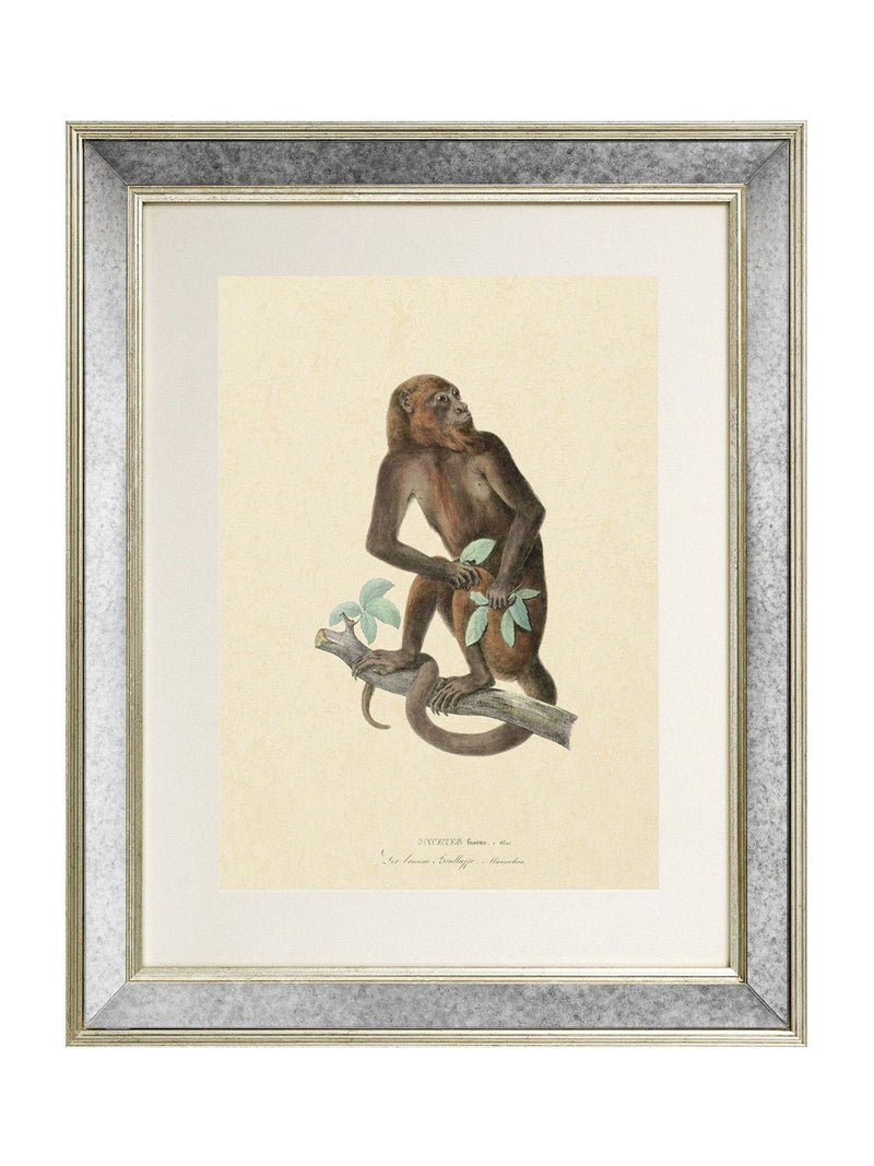 Brookpace Lascelles Primate I wall art 40x50cm antique gold frame, UK version