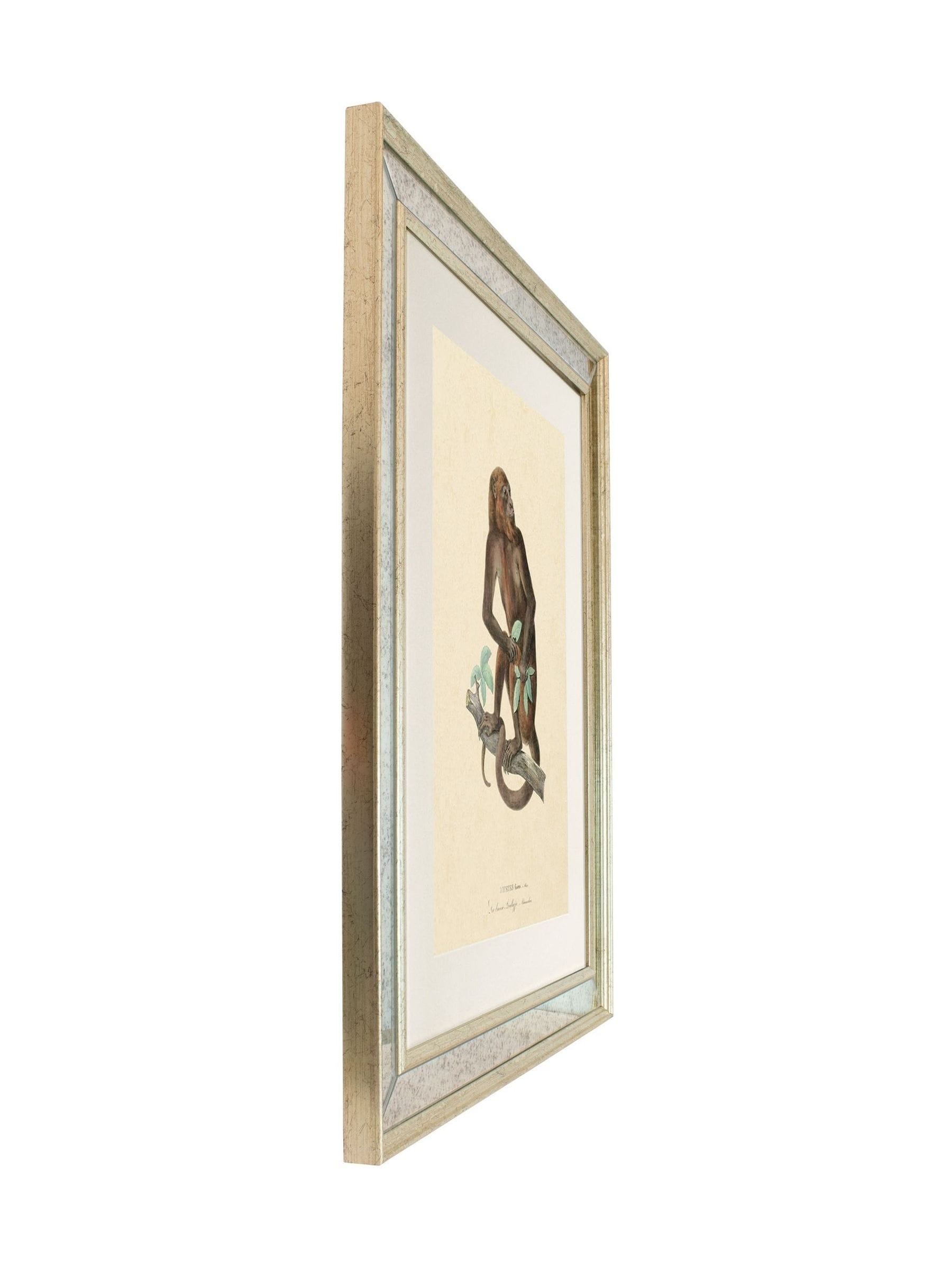 Brookpace Lascelles Primate I wall art 40x50cm antique gold frame, UK version