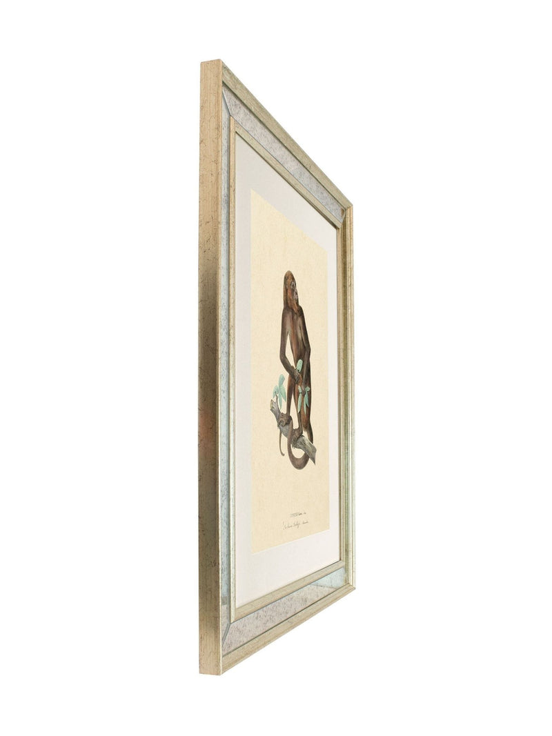 Brookpace Lascelles Primate I wall art 40x50cm antique gold frame, UK version